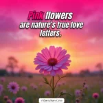 Pink Flower Captions for Instagram