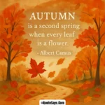 50 Beautiful Fall Quotes to Embrace the Autumn Season