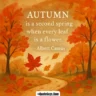 50 Beautiful Fall Quotes to Embrace the Autumn Season