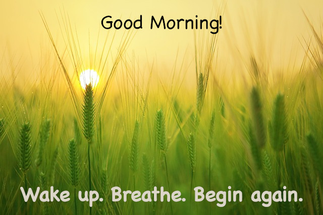 good morning picture quotes