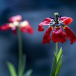 beautiful quotes on life