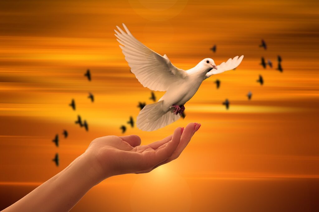 Peace Quotes