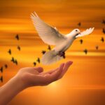 Peace Quotes